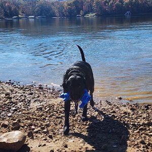 Meet your Posher, Pamela